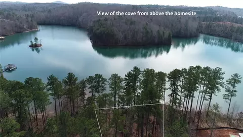 391 Peninsula Rdg, Sunset, SC 29685 photo 10