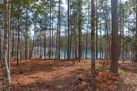 391 Peninsula Rdg, Sunset, SC 29685 photo 6