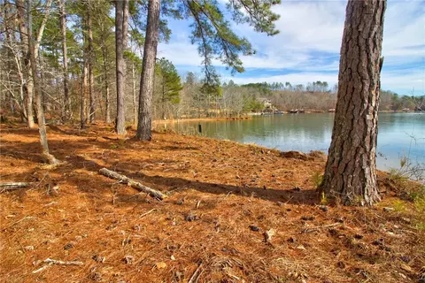 391 Peninsula Rdg, Sunset, SC 29685 photo 4