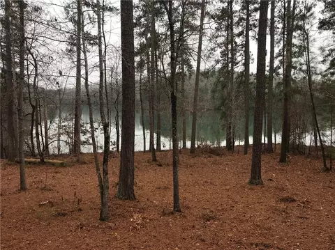391 Peninsula Rdg, Sunset, SC 29685 photo 17