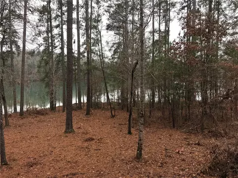 391 Peninsula Rdg, Sunset, SC 29685 photo 18