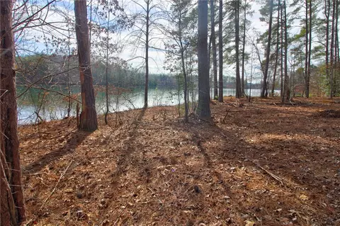 391 Peninsula Rdg, Sunset, SC 29685 photo 5