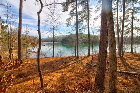 391 Peninsula Rdg, Sunset, SC 29685 photo 1
