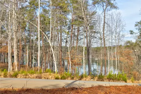 391 Peninsula Rdg, Sunset, SC 29685 photo 8