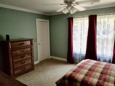 107 Pruitt St, Pendleton, SC 29670 photo 14