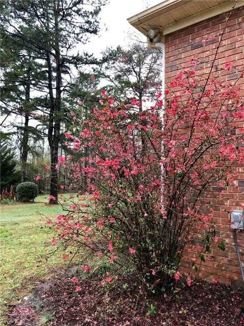 2814 Rambling Path, Anderson, SC 29621 photo 44