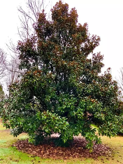 2814 Rambling Path, Anderson, SC 29621 photo 43