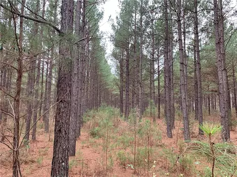 6928 Liberty Hwy, Pendleton, SC 29670 photo 16