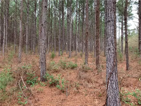 6928 Liberty Hwy, Pendleton, SC 29670 photo 17