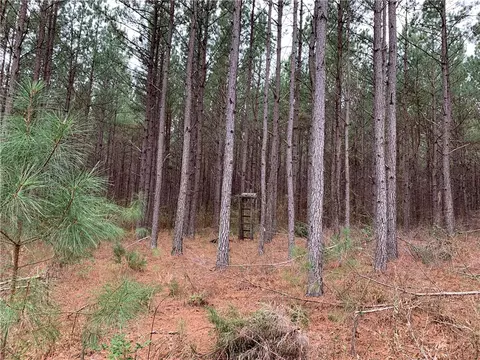 6928 Liberty Hwy, Pendleton, SC 29670 photo 18