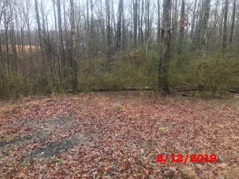 165 Eden Ln, Central, SC 29630 photo 19