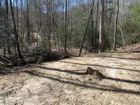 270 Back Park Rd, Pickens, SC 29671 photo 11