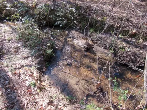 270 Back Park Rd, Pickens, SC 29671 photo 5