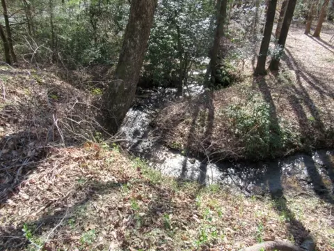 270 Back Park Rd, Pickens, SC 29671 photo 23