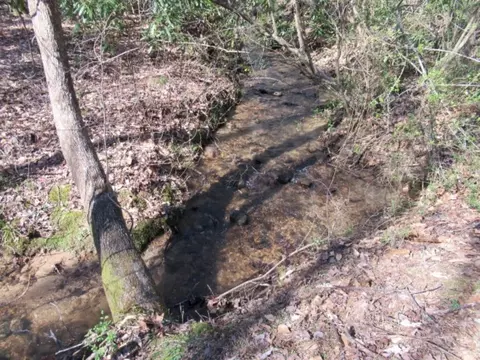 270 Back Park Rd, Pickens, SC 29671 photo 4