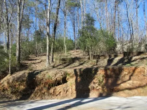 270 Back Park Rd, Pickens, SC 29671 photo 10