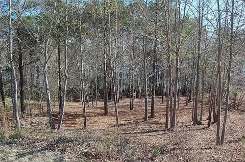 1020 N Edgewater Trl, Toccoa, GA 30577 photo 8