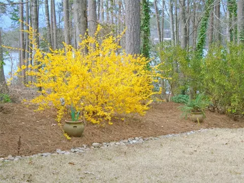 428 E Waterside Dr, Seneca, SC 29672 photo 47