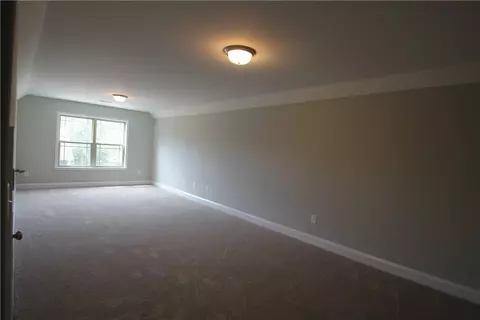 303 Cedar Post Ct, Seneca, SC 29672 photo 21