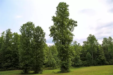 110 Earlestead Dr, Walhalla, SC 29691 photo 7