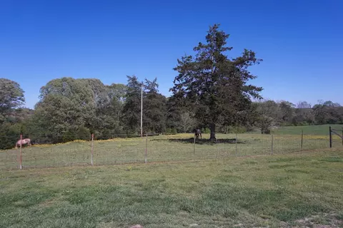 347 Earle Rd, Central, SC 29630 photo 30