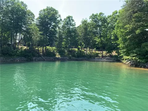 116 Elderberry Way, Sunset, SC 29685 photo 10