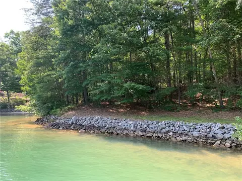 116 Elderberry Way, Sunset, SC 29685 photo 9