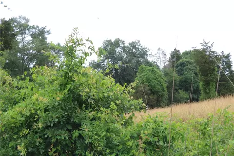 1600 Agnew Rd, Starr, SC 29684 photo 11
