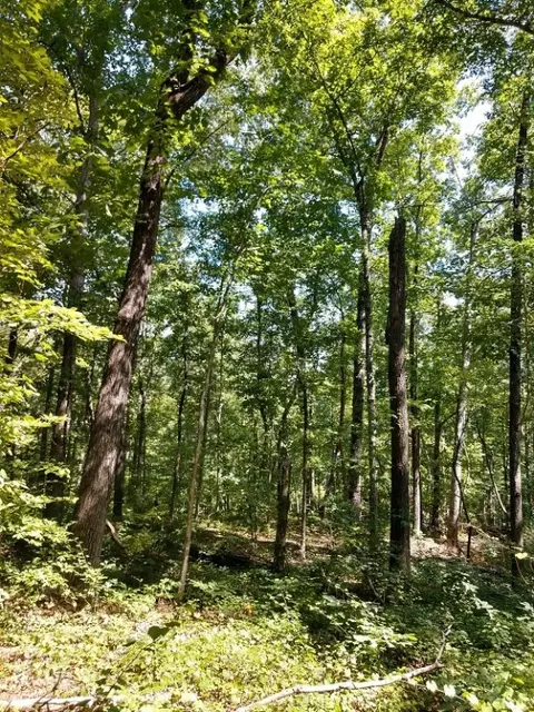 608 Scharlin Dr, Pickens, SC 29671 photo 11