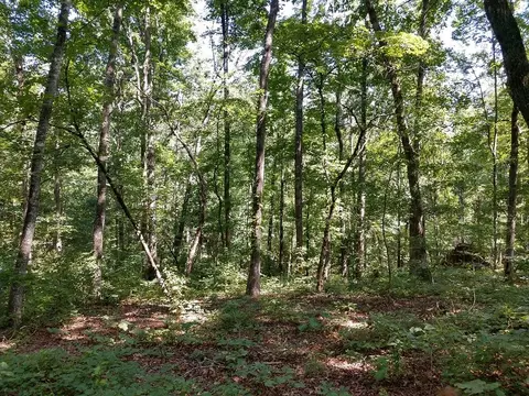 608 Scharlin Dr, Pickens, SC 29671 photo 3