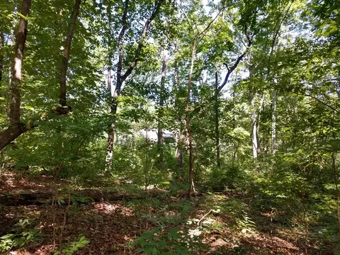 608 Scharlin Dr, Pickens, SC 29671 photo 12