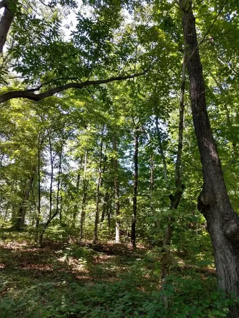 608 Scharlin Dr, Pickens, SC 29671 photo 9