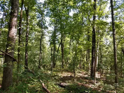 608 Scharlin Dr, Pickens, SC 29671 photo 1
