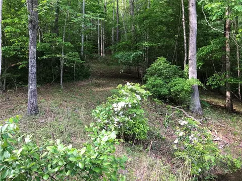 308 S Cove Rd, Sunset, SC 29685 photo 3