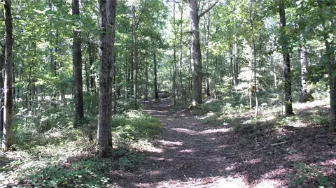 493 Simms School Rd, Central, SC 29630 photo 11