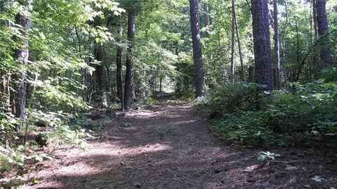 493 Simms School Rd, Central, SC 29630 photo 5