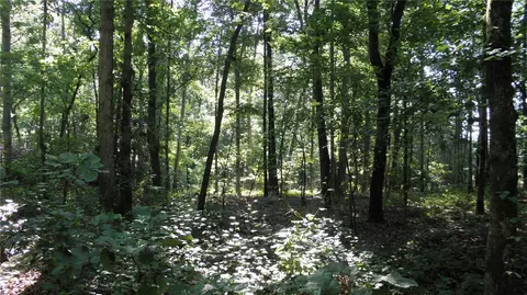 493 Simms School Rd, Central, SC 29630 photo 6
