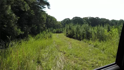 493 Simms School Rd, Central, SC 29630 photo 4
