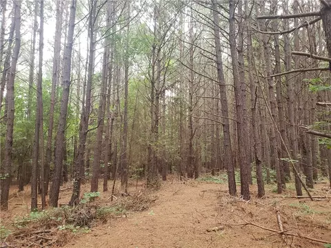 3200 Six And Twenty Rd, Pendleton, SC 29670 photo 41
