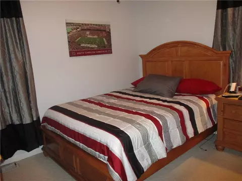 217 Joes Ct, Easley, SC 29640 photo 19