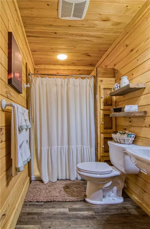 442 Old River Rd, Pelzer, SC 29669 photo 34