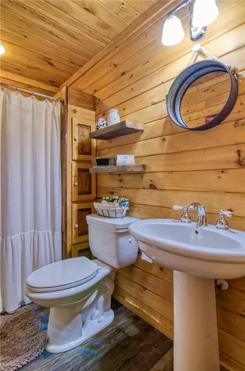 442 Old River Rd, Pelzer, SC 29669 photo 33