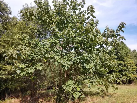 167 D B R Rd, Iva, SC 29655 photo 30