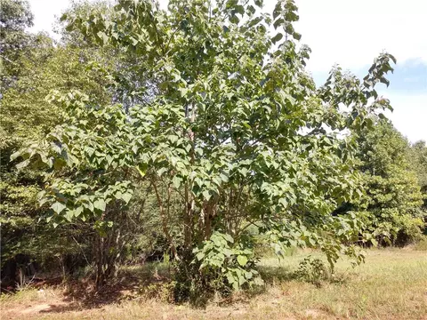 167 D B R Rd, Iva, SC 29655 photo 29