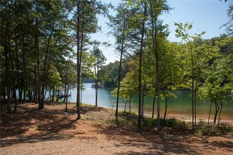 100 Water Side Ct, Sunset, SC 29685 photo 23