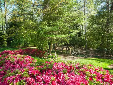 831 Lenhardt Rd, Easley, SC 29640 photo 32