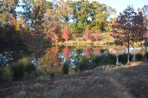 711 Ambercrombie Rd, Honea Path, SC 29654 photo 3