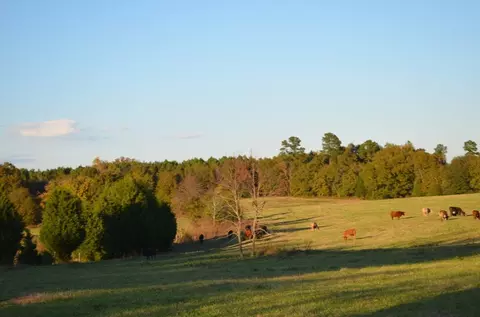 711 Ambercrombie Rd, Honea Path, SC 29654 photo 31