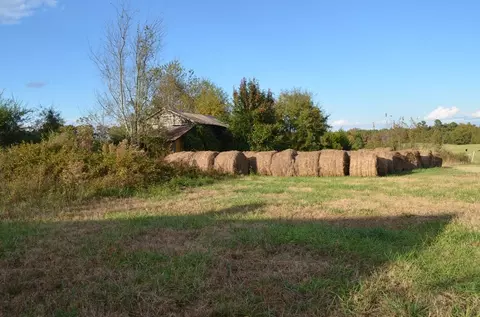 711 Ambercrombie Rd, Honea Path, SC 29654 photo 17