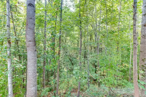 317 Kingsman Ln, Easley, SC 29642 photo 39